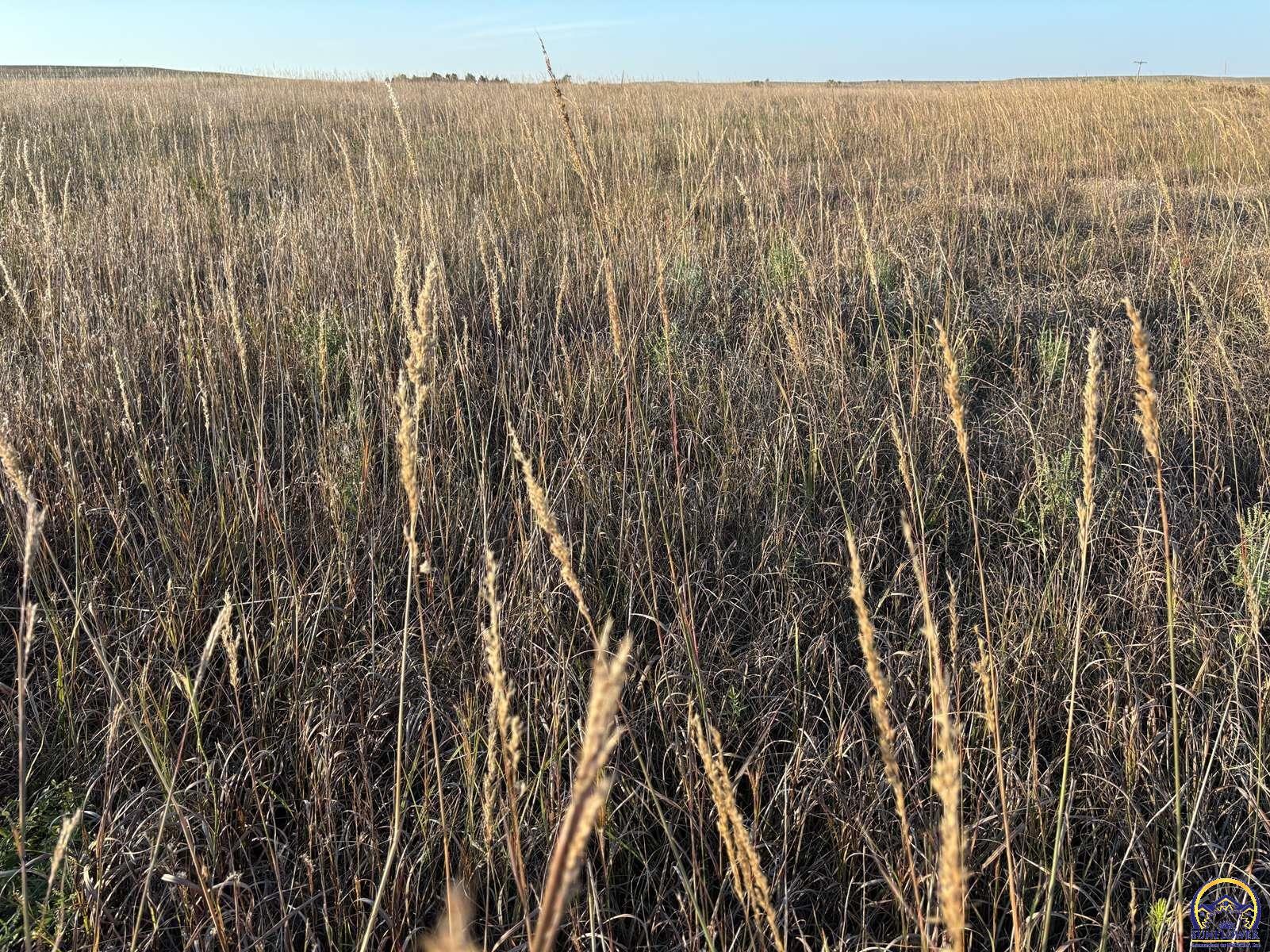 1961 Hwy 50, Strong City, KS 66869