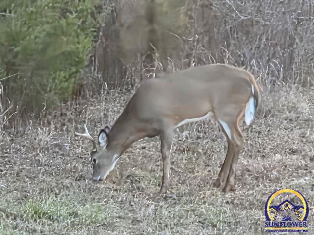 00000 S California Rd, Melvern, KS 665109999