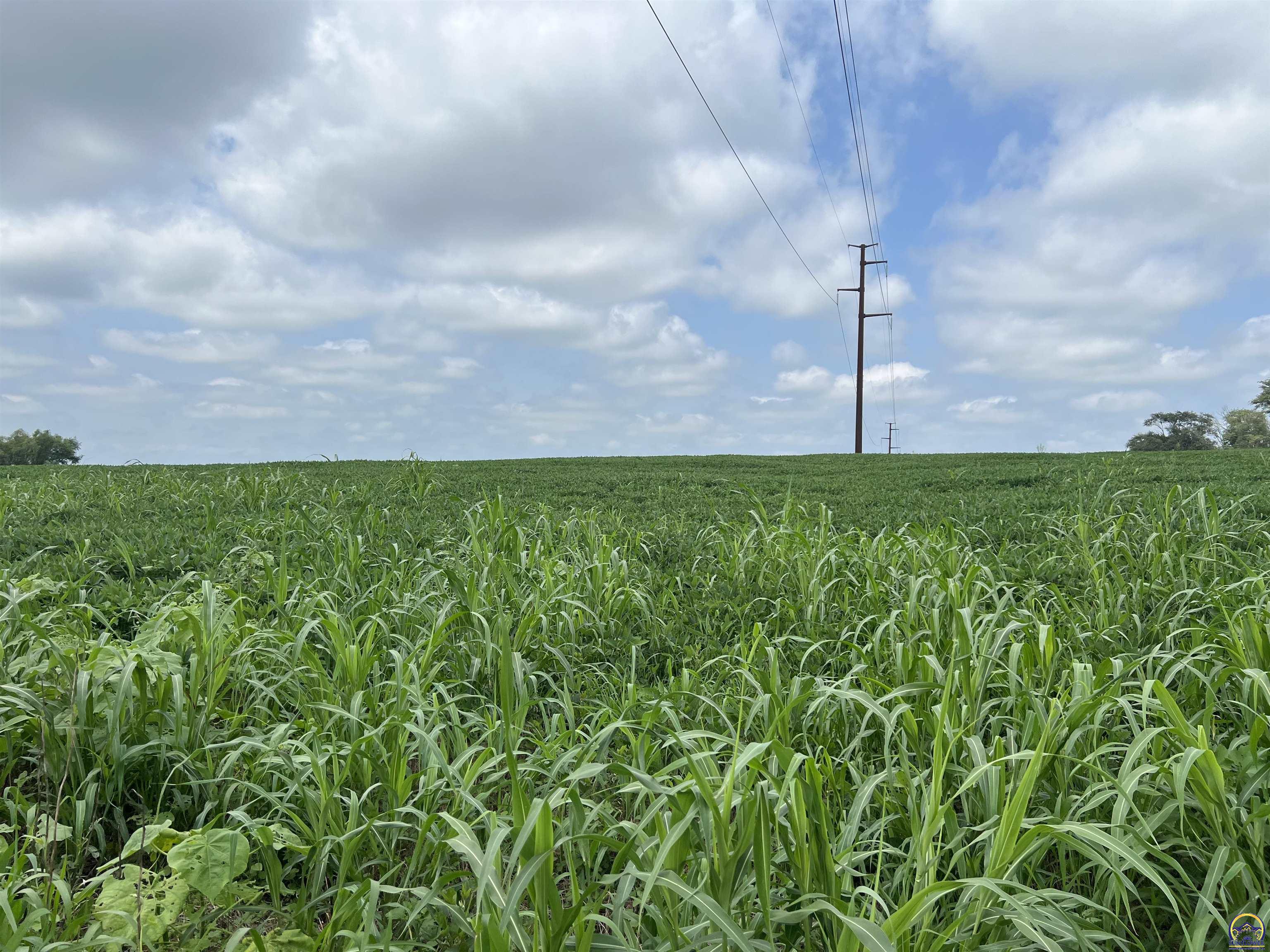 Lot 11 66th St, Meriden, KS 66512